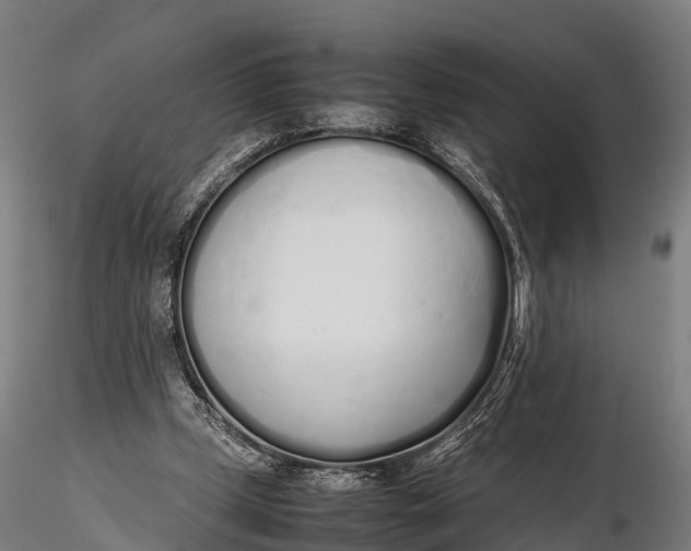 X0000115620249200912011621