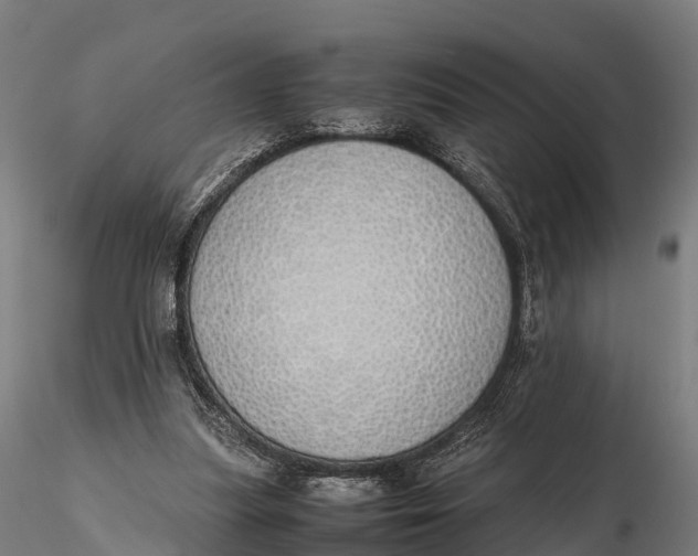 X0000115620251200912011621