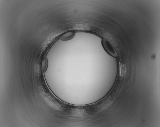 X0000115620252200912011621