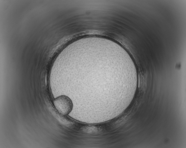 X0000115620253200912011621