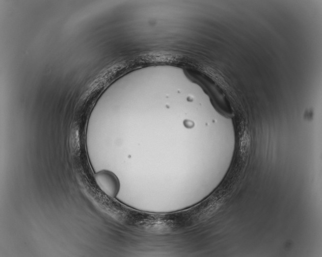 X0000115620254200912011621