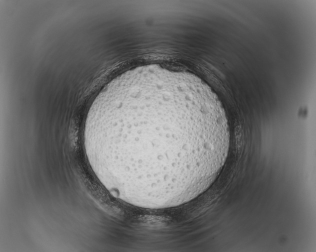 X0000115620255200912011621