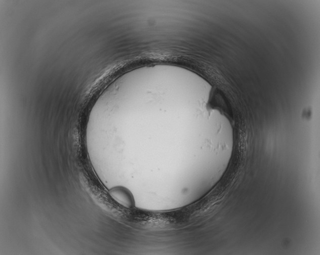 X0000115620256200912011621