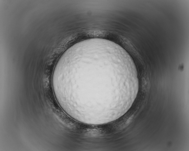 X0000115620259200912011621