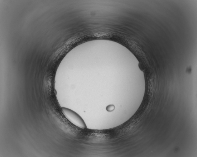 X0000115620260200912011621