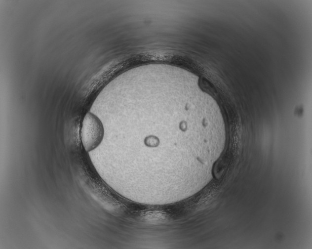 X0000115620262200912011621