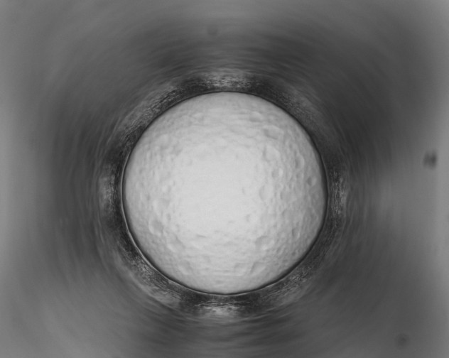 X0000115620263200912011621