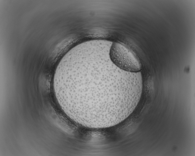 X0000115620264200912011621