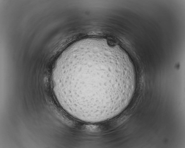 X0000115620265200912011621