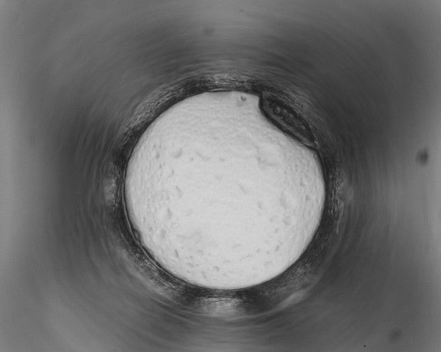 X0000115620266200912011621