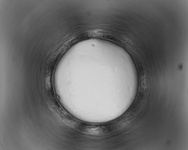 X0000115620267200912011621