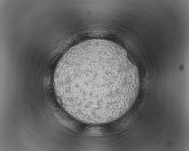 X0000115620268200912011621