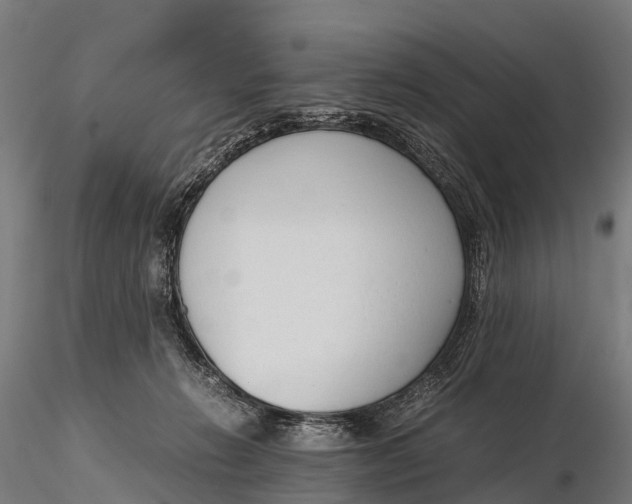 X0000115620270200912011621