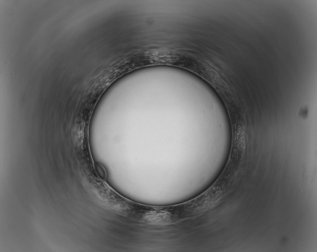 X0000115620271200912011621