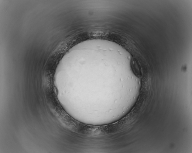 X0000115620272200912011621