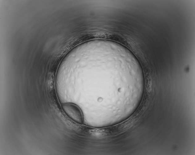 X0000115620273200912011621