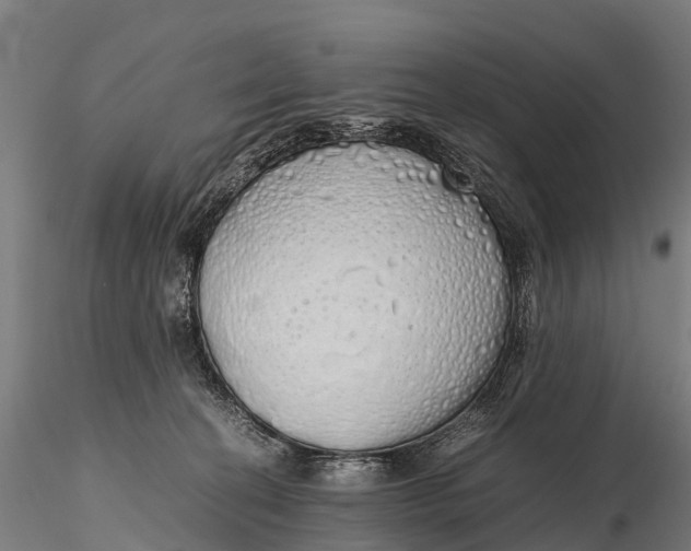 X0000115620274200912011621