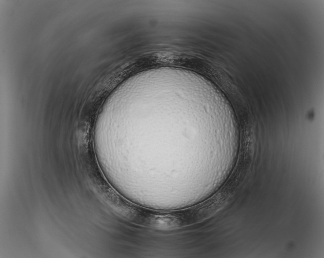 X0000115620275200912011622