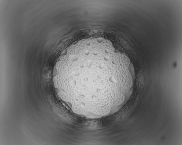 X0000115620276200912011622