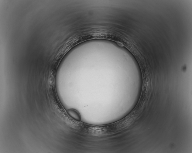 X0000115620277200912011622