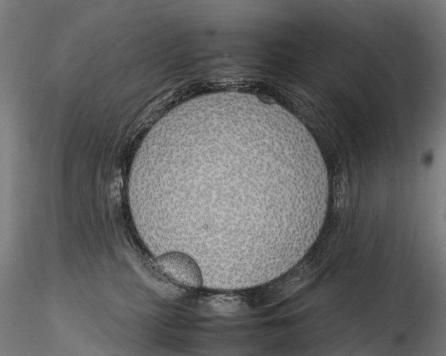 X0000115620279200912011622