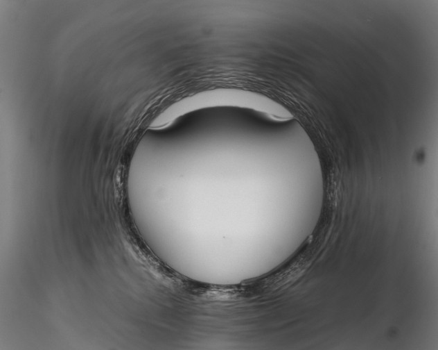 X0000115620280200912011622