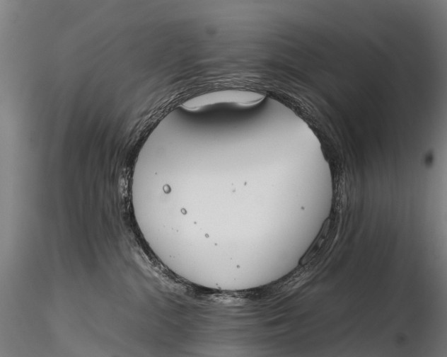 X0000115620284200912011622