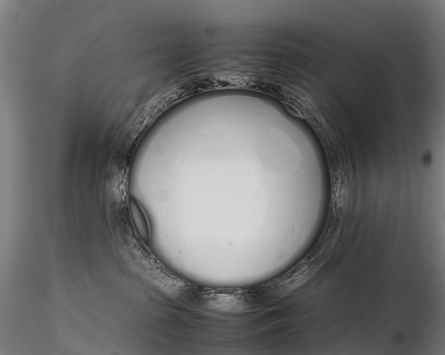 X0000115620285200912011622