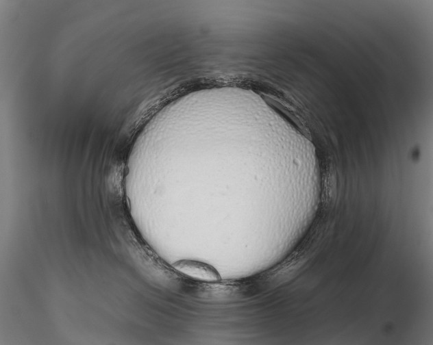 X0000115620286200912011622