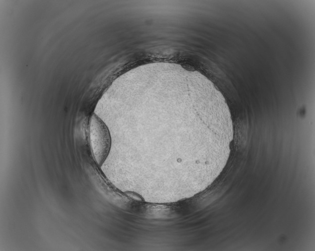 X0000115620287200912011622