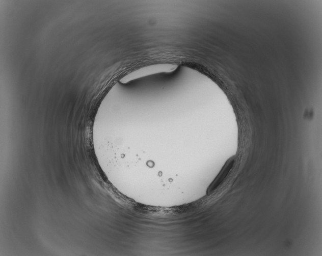 X0000115620288200912011622