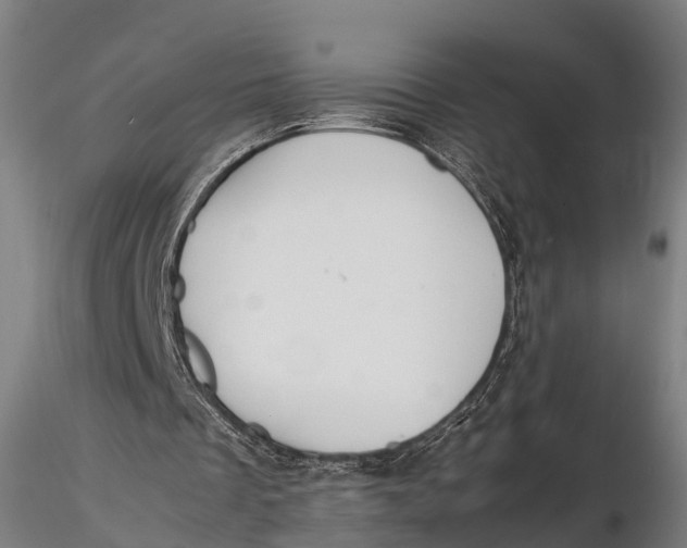 X0000115620289200912011621