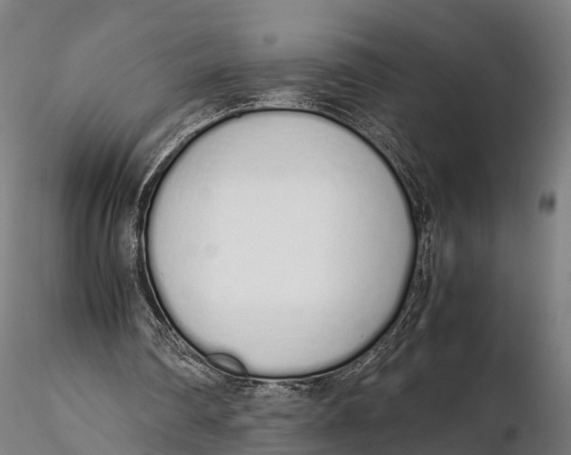 X0000115620290200912011621