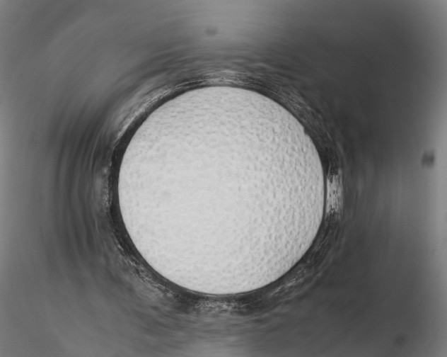 X0000115620291200912011621