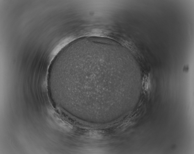 X0000115620292200912011621