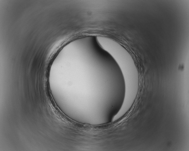 X0000115620293200912011621