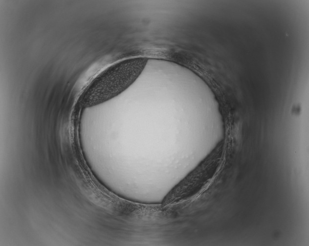 X0000115620294200912011621