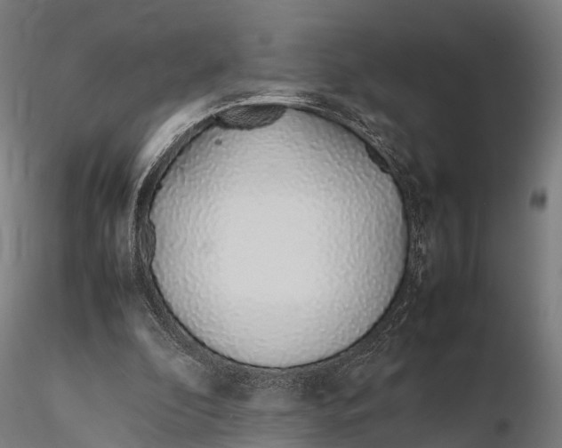 X0000115620296200912011621