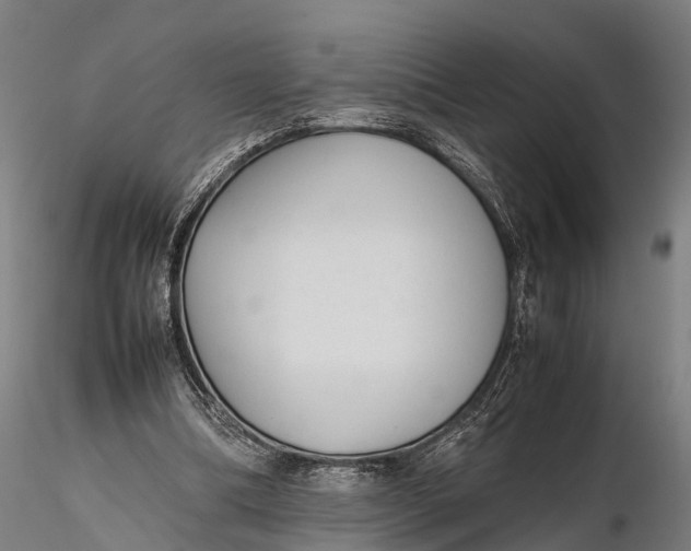 X0000115620298200912011621