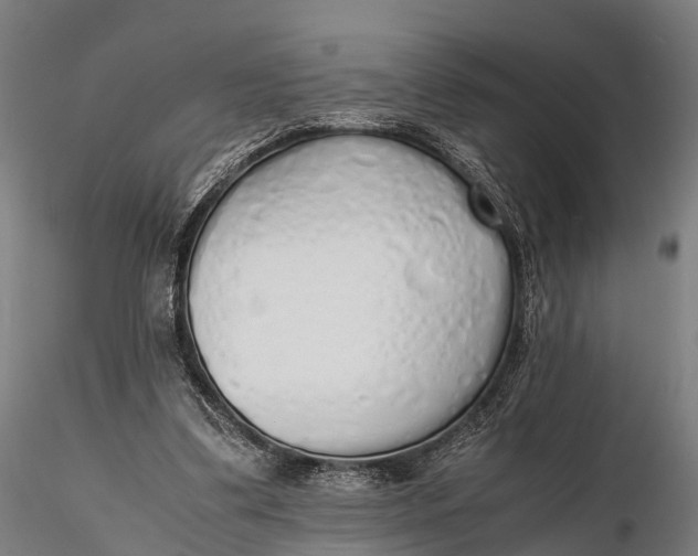 X0000115620299200912011621