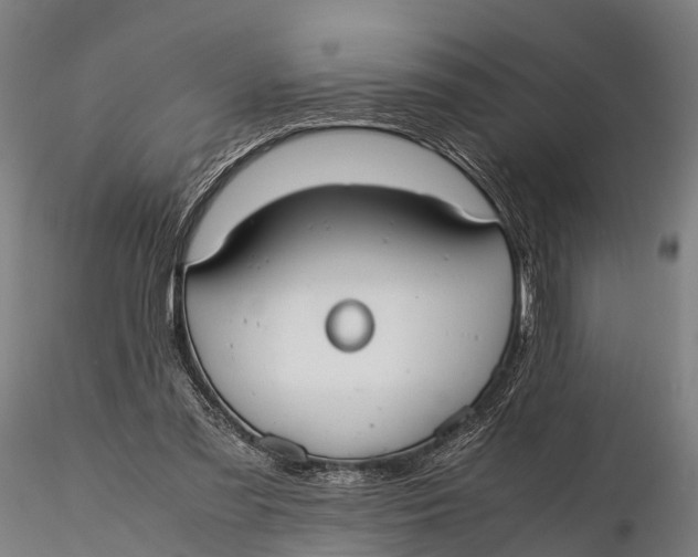 X0000115620301200912011621