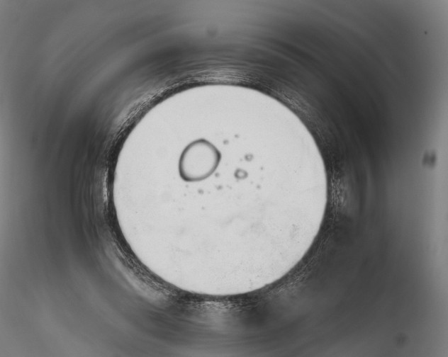 X0000115620302200912011621