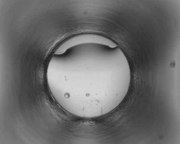 X0000115620304200912011621