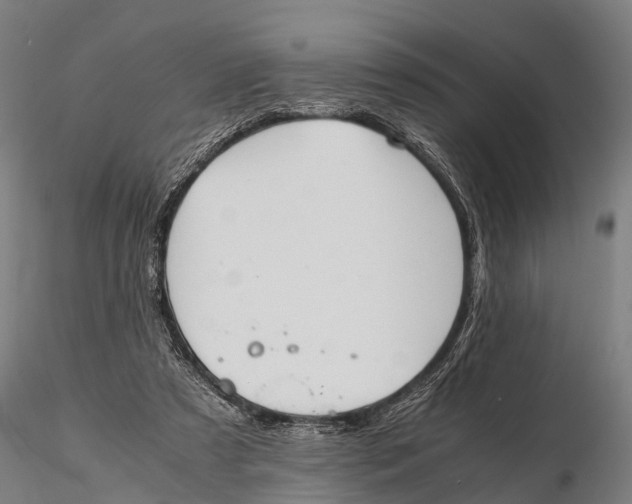 X0000115620305200912011621