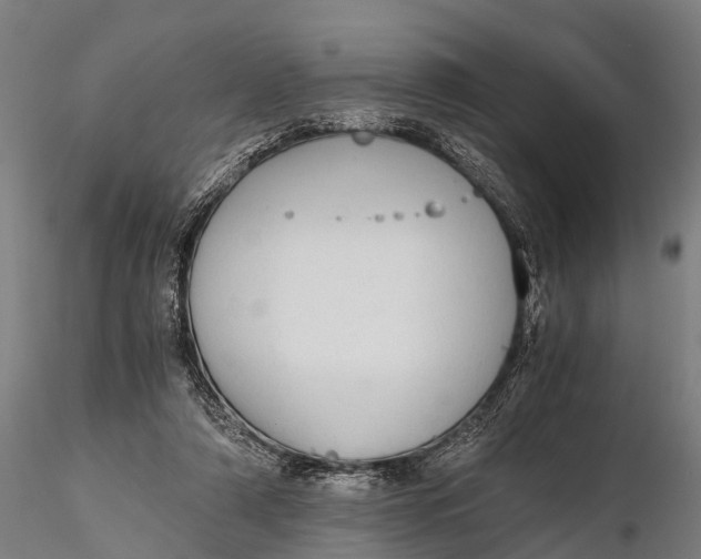 X0000115620306200912011621