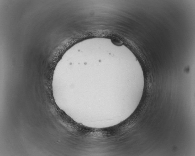 X0000115620307200912011621