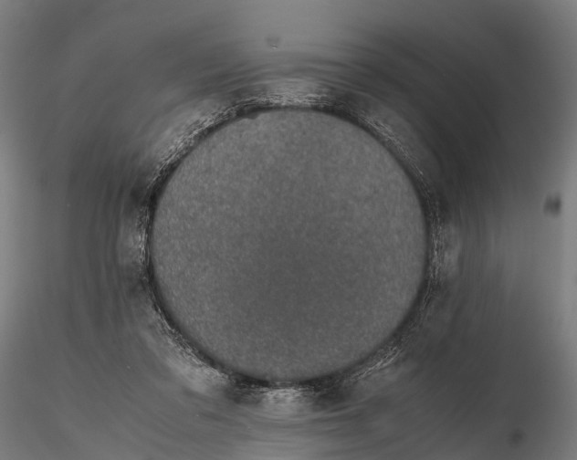 X0000115620309200912011621