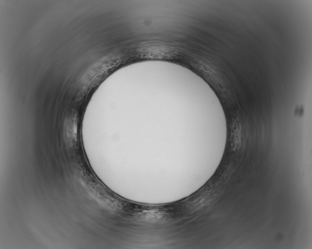 X0000115620310200912011621