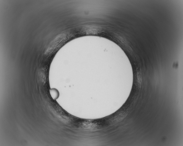 X0000115620311200912011621