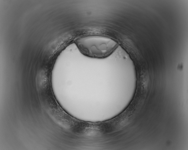 X0000115620312200912011621